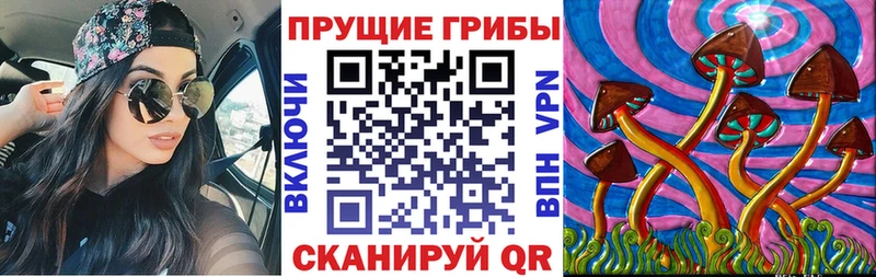 Галлюциногенные грибы Psilocybine cubensis Невель